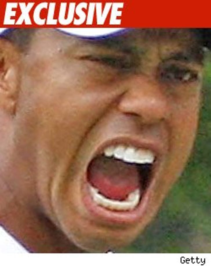 FartGate -- CBS Denies Tiger Supplied It :: 0803_tiger_woods_ex_getty_-1