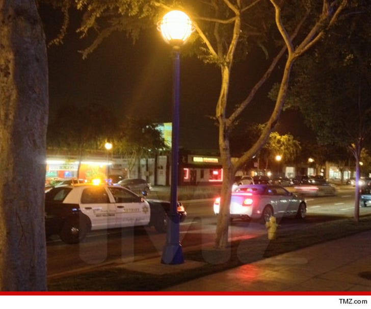 Lisa Vanderpump's Hubby -- PULLED OVER Can We Blame the :: 0517-vanderpump-article-3