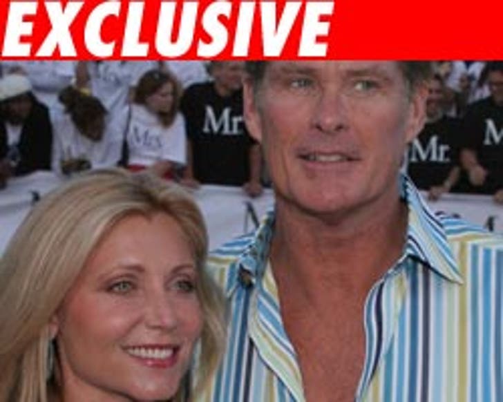 Hasselhoff Gets Custody :: 0521_david_pam_ex_fm-1