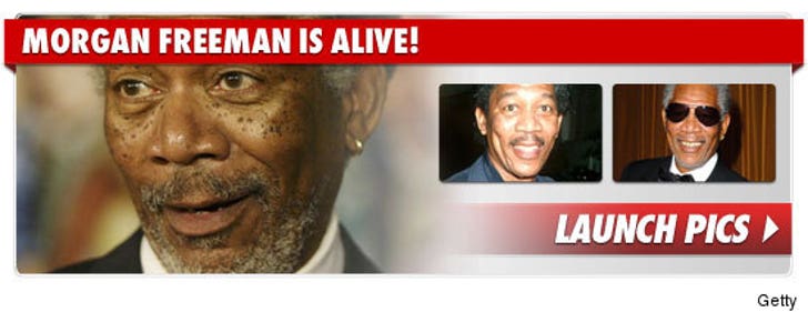 Morgan Freeman -- Not Dead :: 1216-morgan-freeman-alive-footer-credit